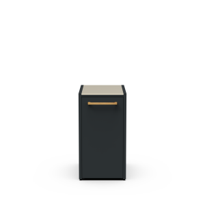 Module CT 50 Ice Maker