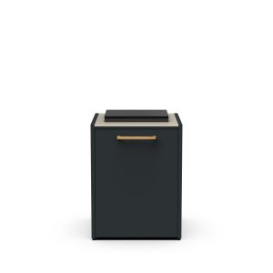 Module CT 60 Ice Bucket