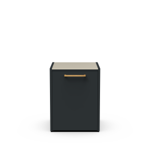 Module CT 60 Built-in Refrigerator